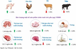 Số lượng đầu con trong sản xuất chăn nuôi tính đến cuối tháng 3:2026.